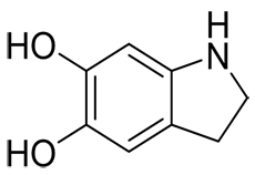 5,6-Dihydroxyindoline