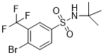 4-溴-N-叔丁基-3-(三氟甲基)苯磺酰胺